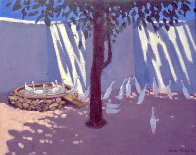 Patos Corredores, Sudáfrica, 2011 de Unbekannt Unbekannt